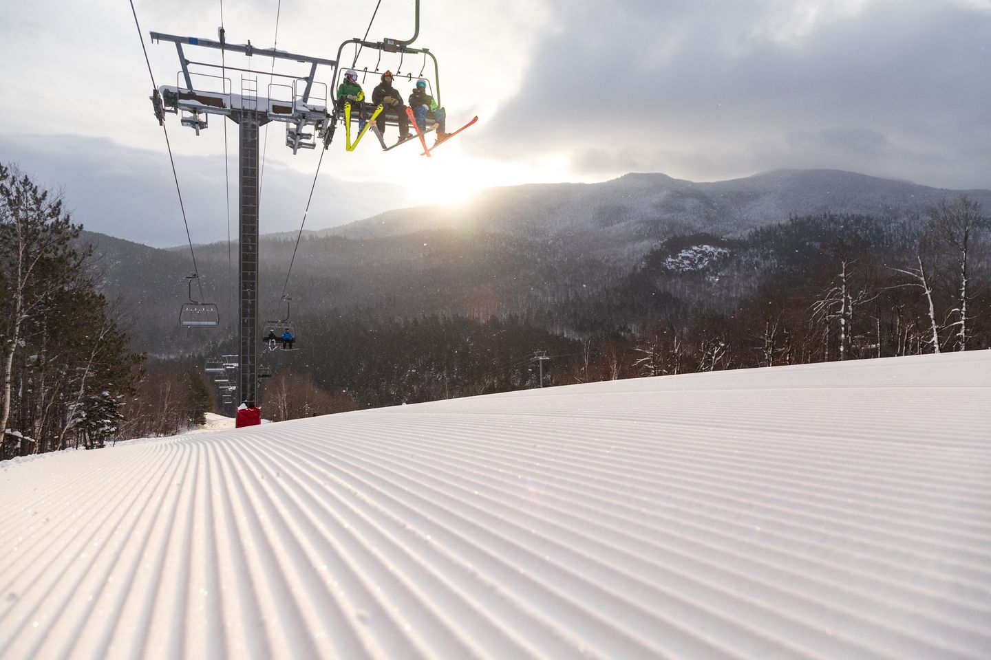 Where To Ski in January?