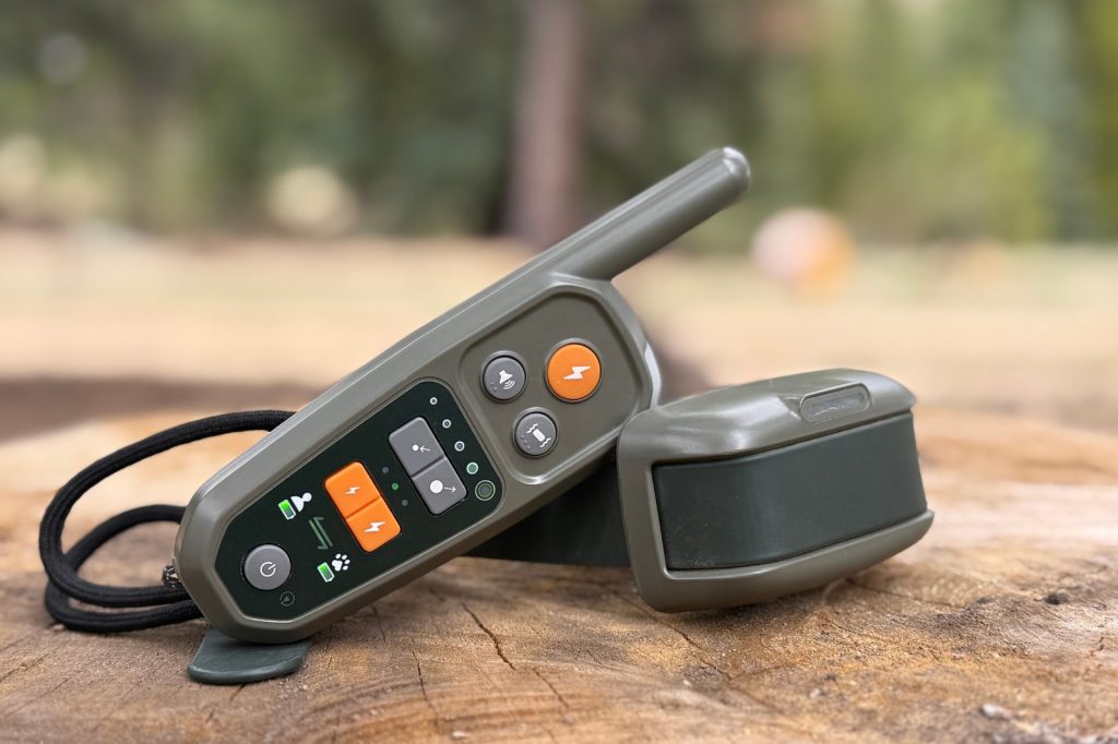 Heel Virtual Dog Leash Review: Sit, Stay, Spectacular