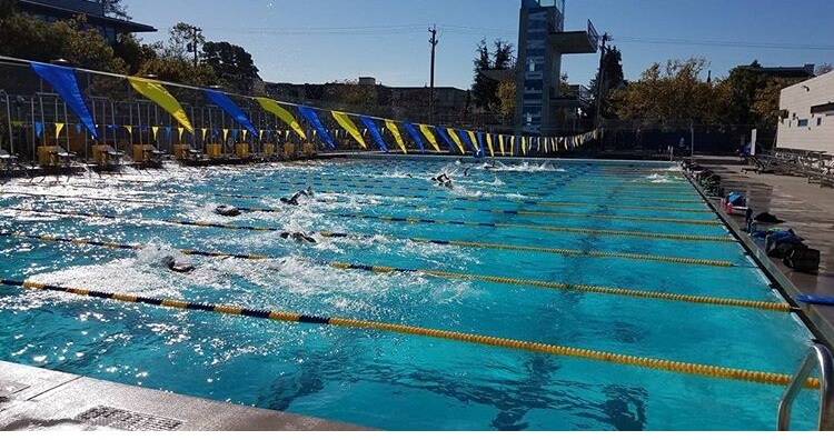 Cal Elects Eight to Athletic Hall of Fame, Including Two Aquatic Athletes