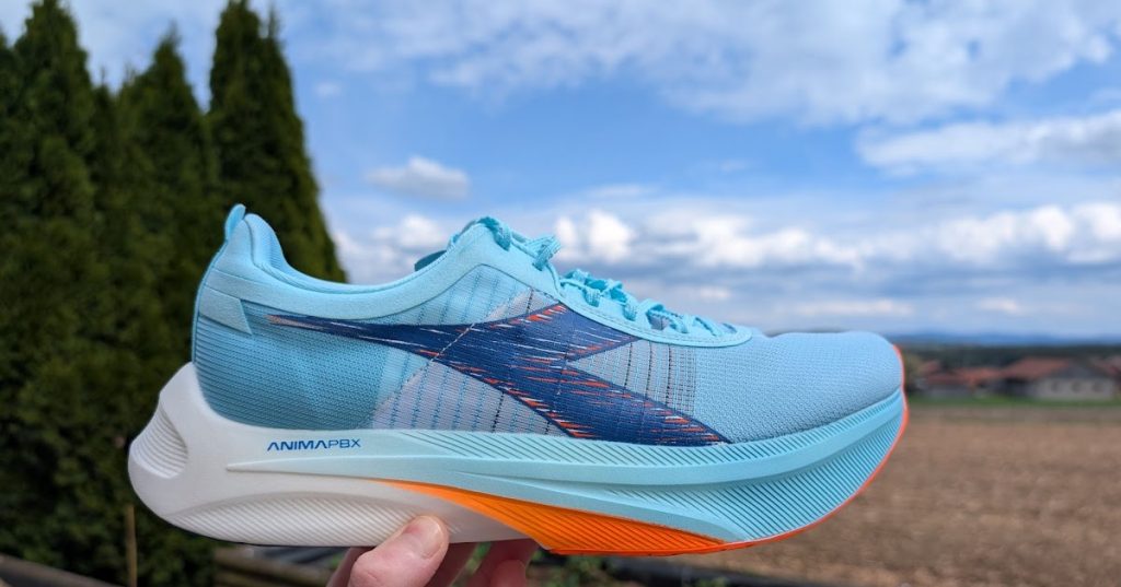 Testbericht: Diadora Gara Carbon 2-2 Vergleiche (German) Testbericht: Diadora Gara Carbon 2-2 Vergleiche (German)
