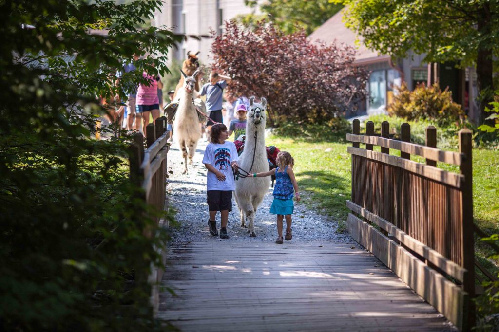 New York Family: New York Family:
