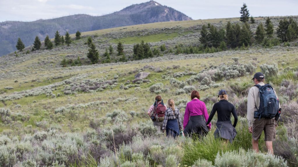 Yellowstone National Park Just Saw Its Busiest May In History