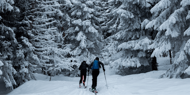 What Are Freeride Skis?