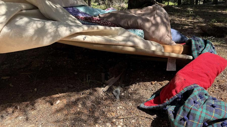 Utah Black bear euthanized following a southern Utah man being bitten