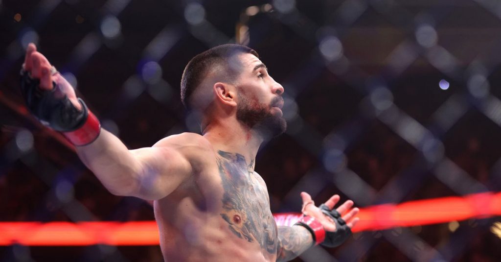 Next Matches To Make For UFC 317 PPV Winners