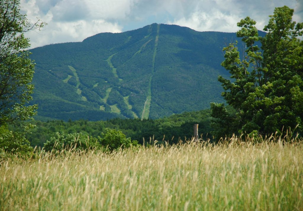 Mountain Air Therapy