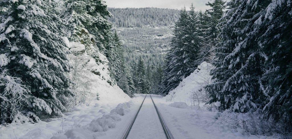 25-26 Snow Train Tickets To The Alps on Sale