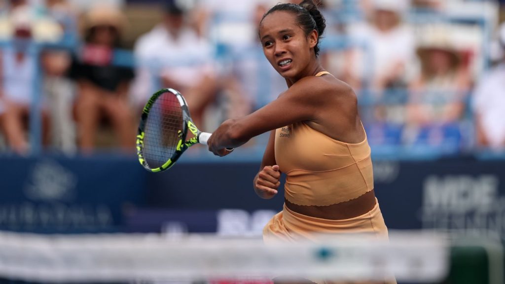 Fernandez, Kalinskaya to play for DC Open title