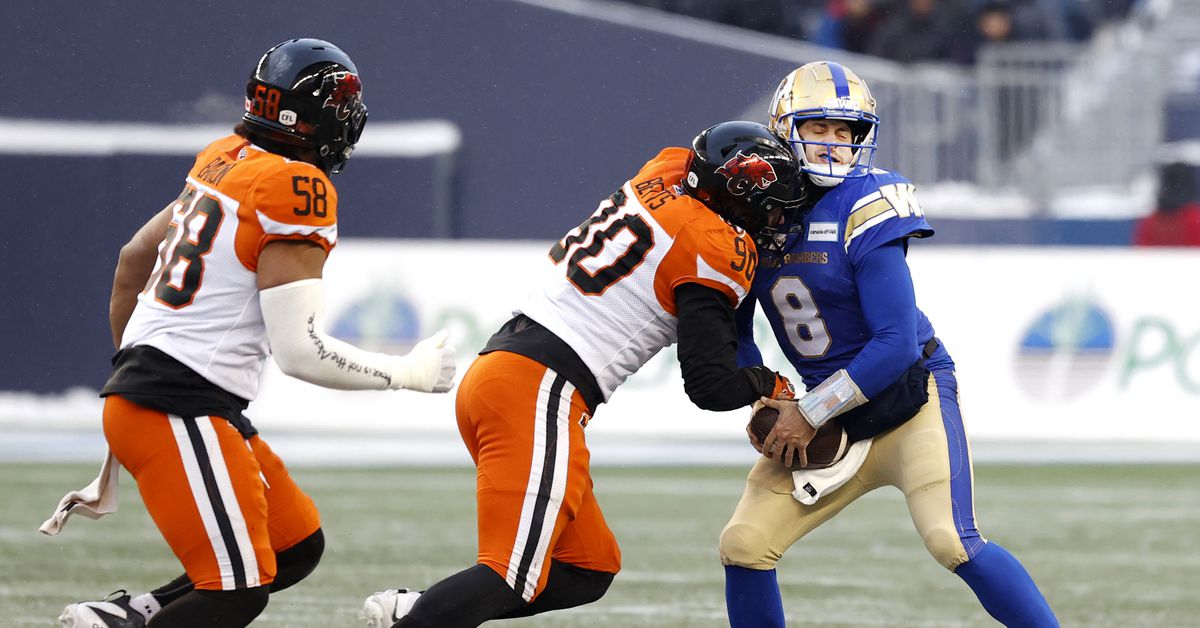 Detroit Lions sign 2023 CFL defensive player of the year Mathieu Betts