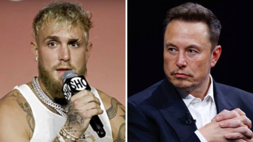 Jake Paul enlists Elon Musk's ex-attorney to counter critics' staged fight claims Jake Paul enlists Elon Musk's ex-attorney to counter critics' staged fight claims
