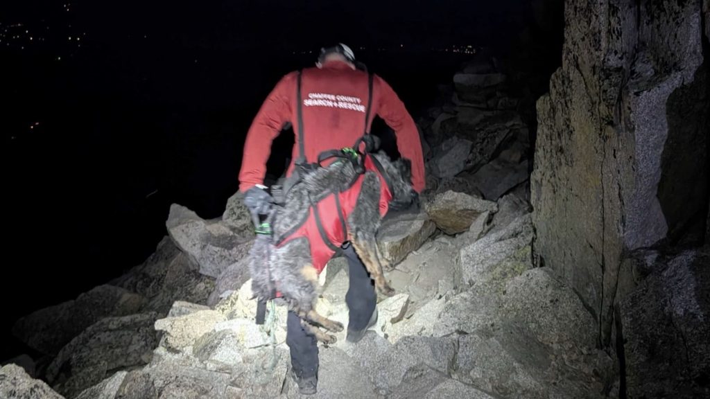 Search And Rescue Team Saves Multiple Dogs Off Colorado 14er