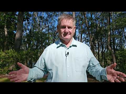 A Special Video for Coaches to Share With Swimming Parents | Wayne Goldsmith