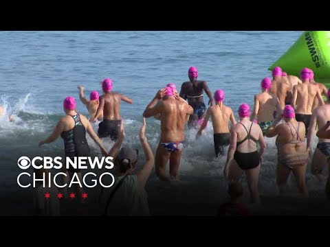 Swim Across America in Lake Michigan Raises Money to Battle Cancer | CBS Chicago Swim Across America in Lake Michigan Raises Money to Battle Cancer | CBS Chicago
