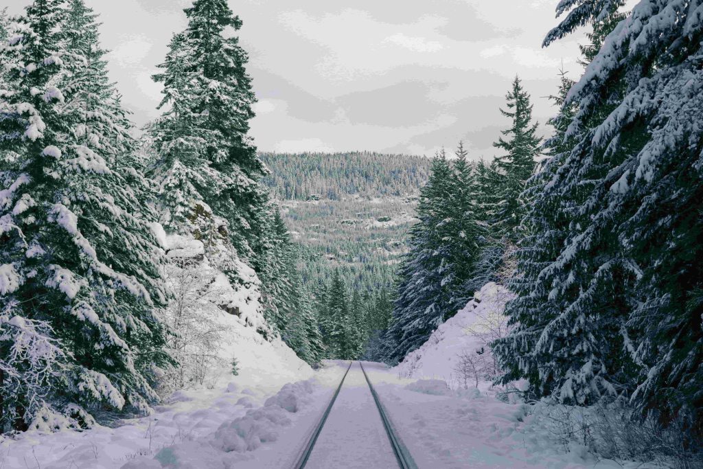 Rails to Resorts