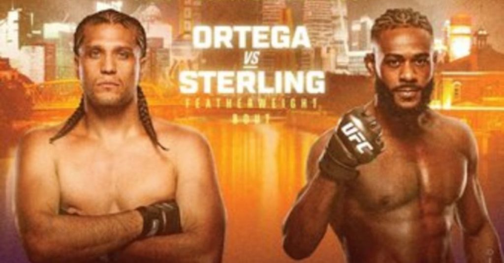 Brian Ortega Vs. Aljamain Sterling Preview Brian Ortega Vs. Aljamain Sterling Preview
