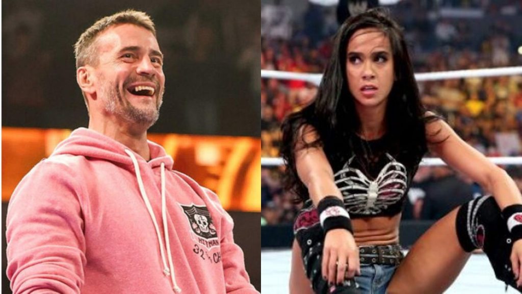 Not AJ Lee, But This WWE Women Star Teased As CM Punk’s Partner