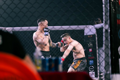 Fandom, Wagers, and Wins: The Digital Side of Combat Sports Fandom, Wagers, and Wins: The Digital Side of Combat Sports