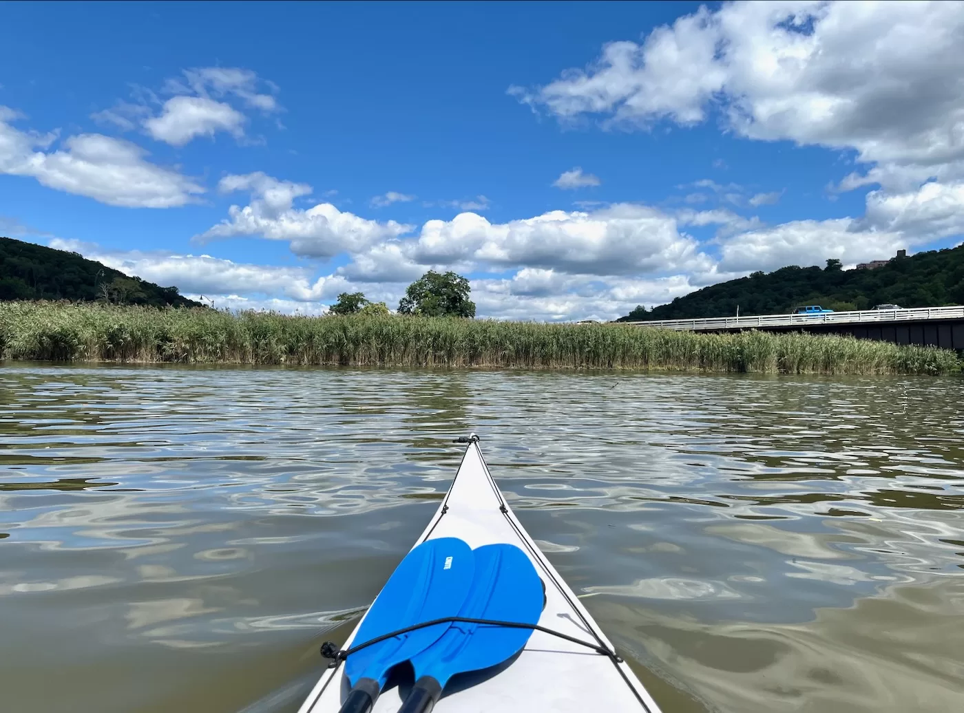 Annsville Creek Paddle Annsville Creek Paddle