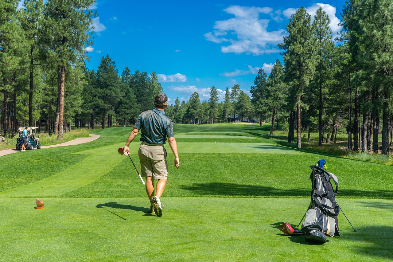 A Few Tips On How To Properly Drive on The Golf Course?