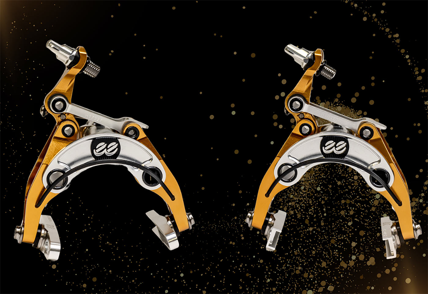 Limited Edition Alchemist eeBrakes in Gold & Silver Limited Edition Alchemist eeBrakes in Gold & Silver