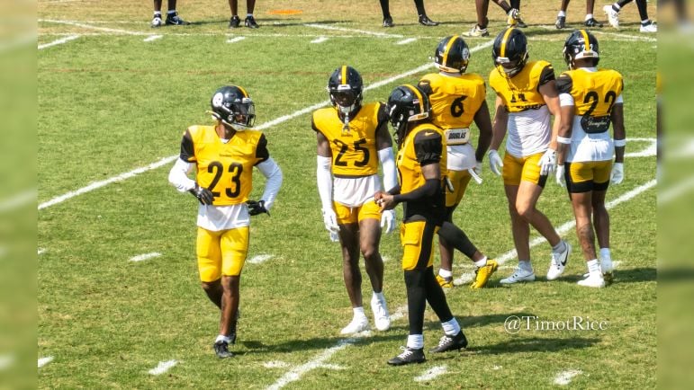 Steelers Vs Vikings Prediction