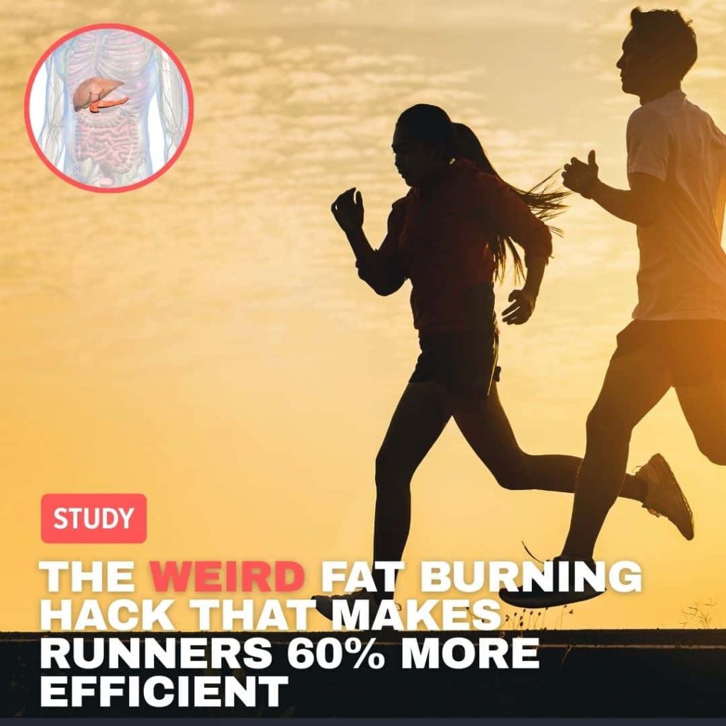Metabolic Flexibility for Runners: Train Your Body to Burn Fat Efficiently
