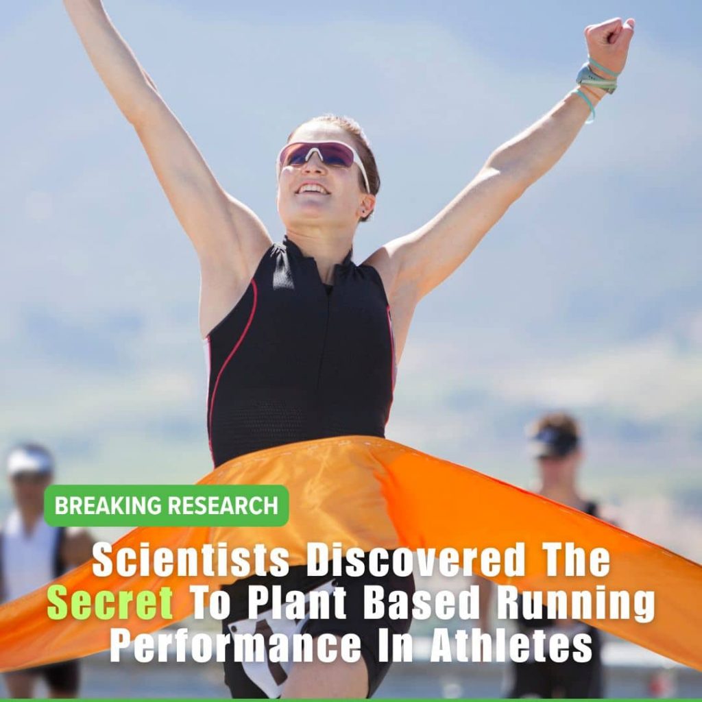 Plant-Based Diet for Runners: Critical Nutrients That Can Make or Break Performance Plant-Based Diet for Runners: Critical Nutrients That Can Make or Break Performance