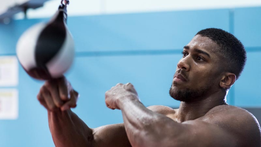 The Beginner’s Guide To Speed Bag Training: Why It Matters And How To Master It The Beginner’s Guide To Speed Bag Training: Why It Matters And How To Master It