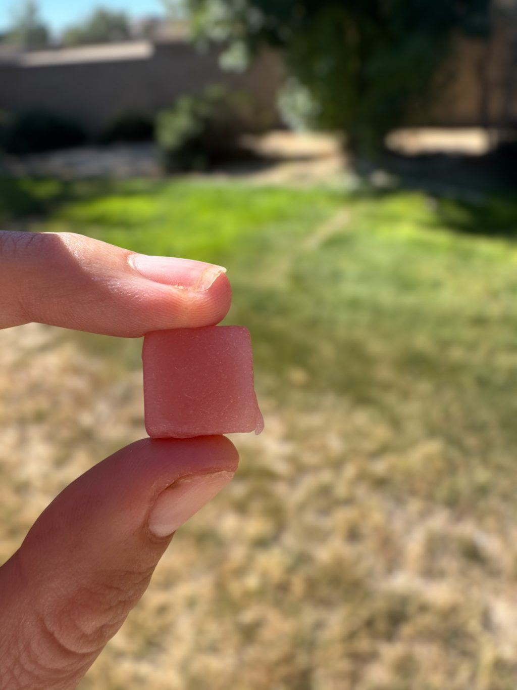 Omni Creatine Gummies Review Omni Creatine Gummies Review