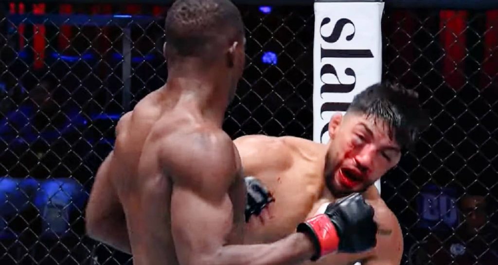 Dana White's Contender Series Week 10 Highlights