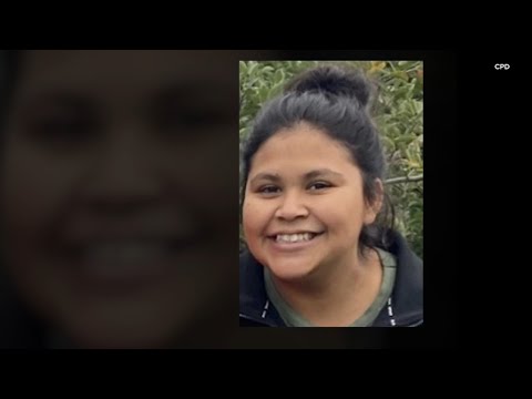 High School Swimmer Goes Missing in Chicago as School Issues Plea for Help | NBC Chicago