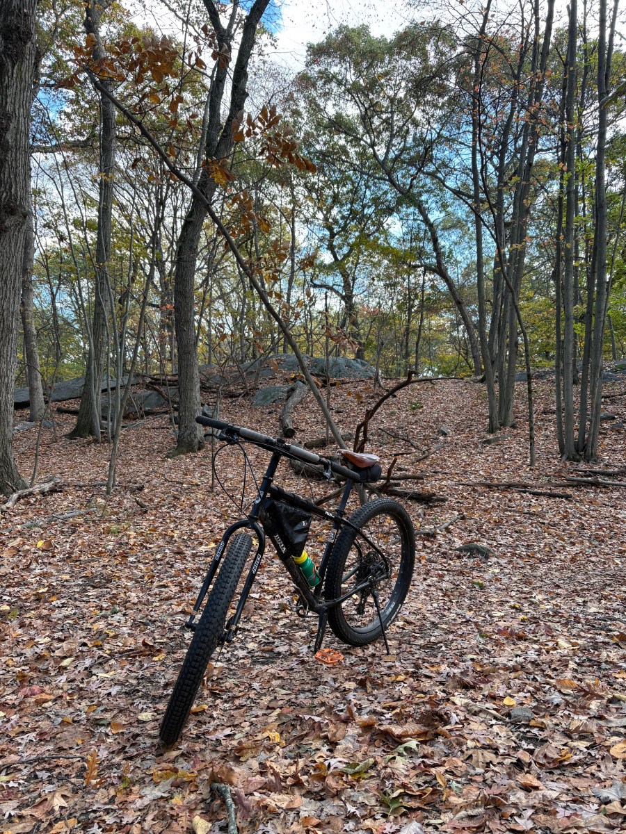 Wooded Wednesdays Wooded Wednesdays