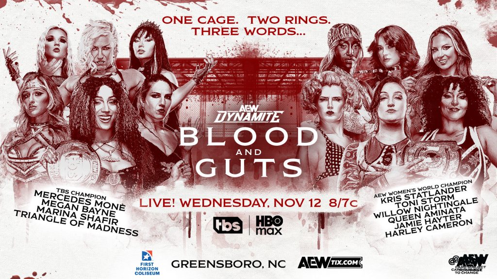 12 Woman AEW Blood & Guts Match Participants Confirmed