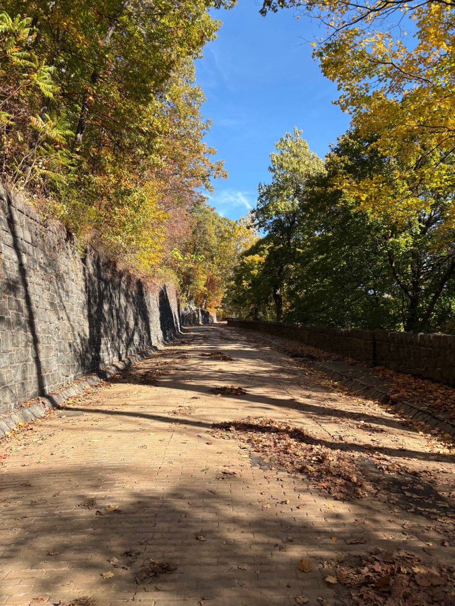 Follow The Brick Road Follow The Brick Road