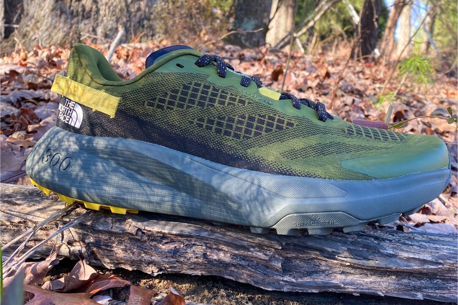 The North Face Altamesa 300 Review: Bouncy Budget Beast