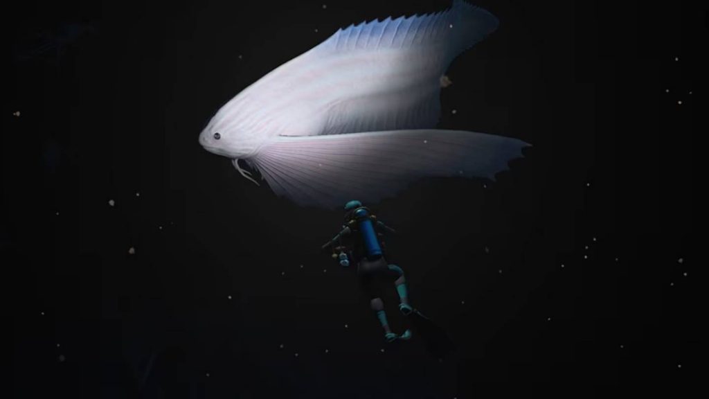 Endless Ocean: Luminous: Everything We Know So Far Endless Ocean: Luminous: Everything We Know So Far