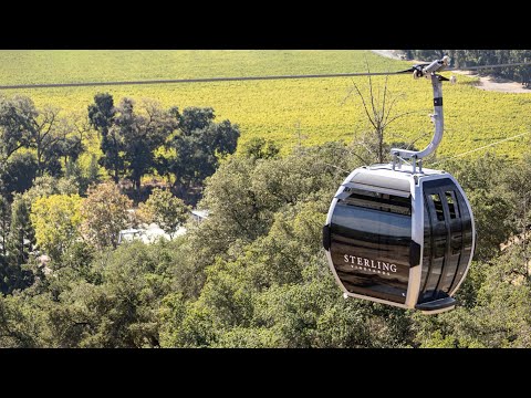 News Roundup: Too Expensive