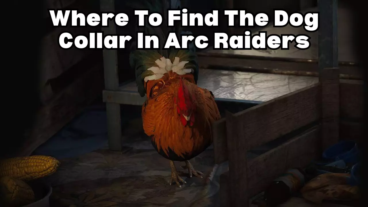 Where To Find Dog Collar In Arc Raiders