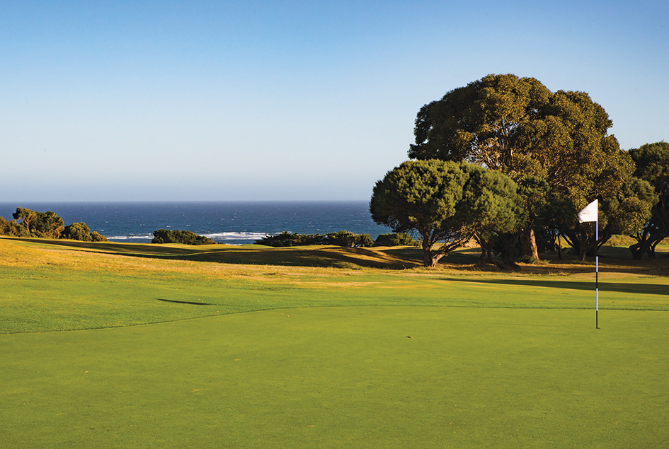 Lamerton finds a home at Flinders Lamerton finds a home at Flinders