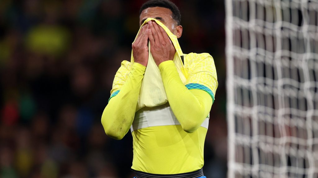 ‘We’re really sorry’ – Brazil boss Carlo Ancelotti gives injury update on Arsenal star Gabriel