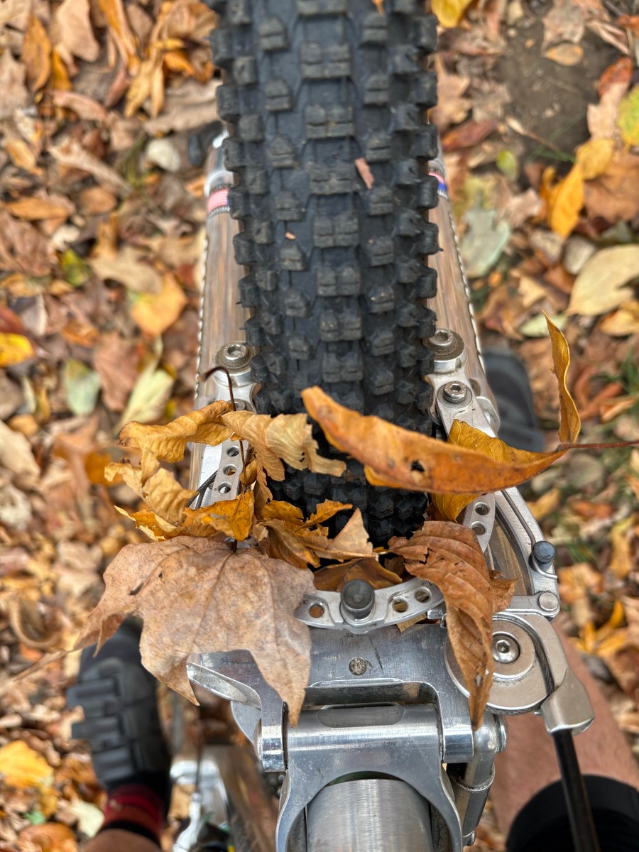 Leaf Me Alone