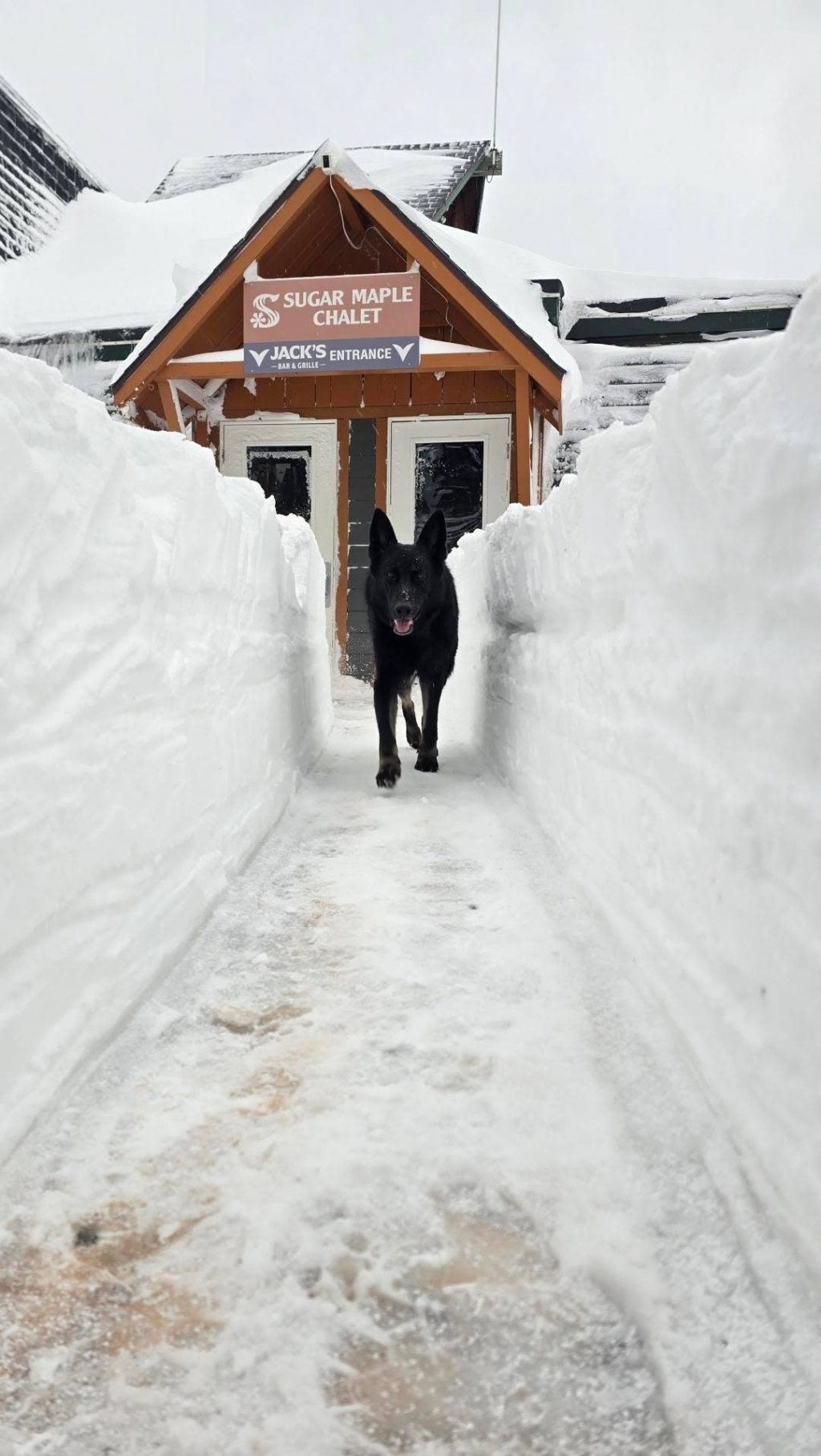 30 Inches of Snow Buries Michigan Ski Area