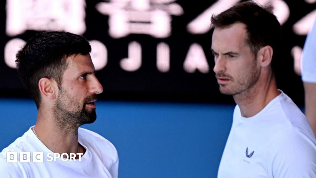 Murray 'didn't get results' he wanted for Djokovic