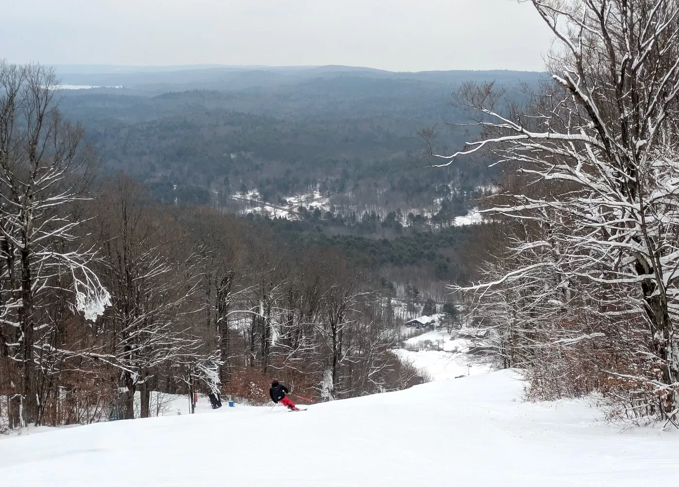 Royal Mountain Opens 2025 Royal Mountain Opens 2025