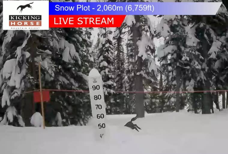 British Columbia Ski Resorts Are Buried, Here's How Much Snow Has Fallen