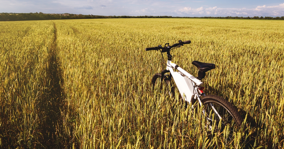 7 Reasons You’ll Probably Own an E-Bike in the Next 10 Years (If You Don’t Already)