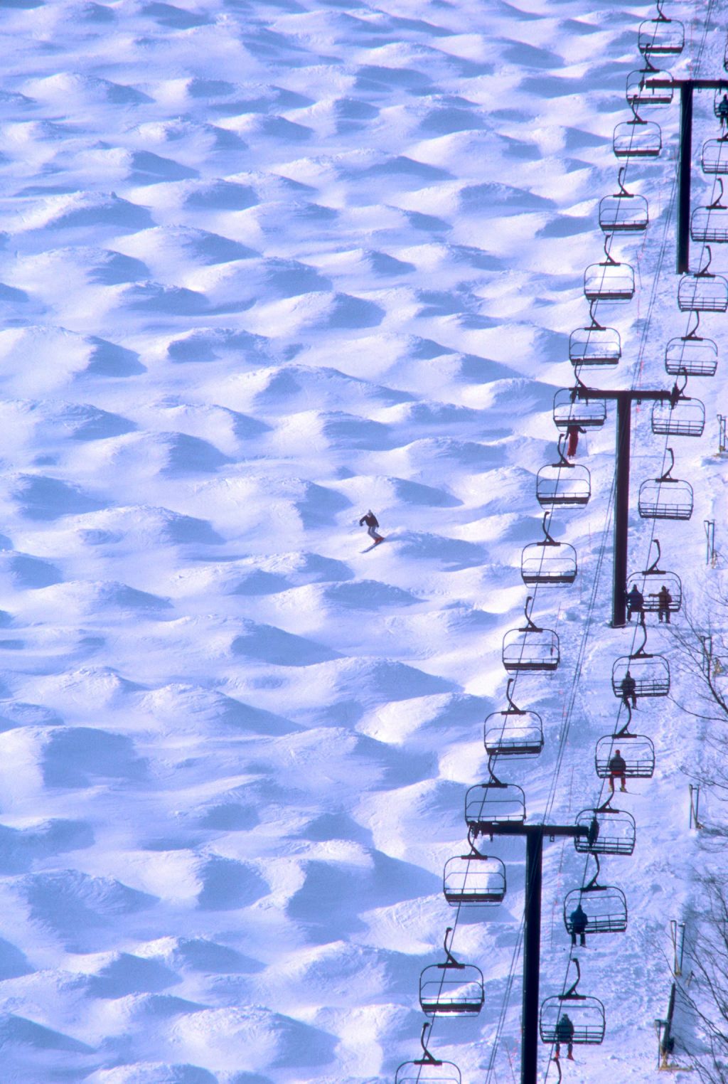 Do You Enjoy Skiing Moguls? (Poll) Do You Enjoy Skiing Moguls? (Poll)