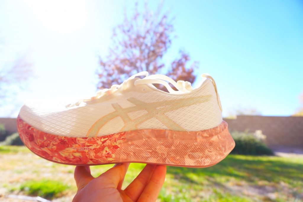 ASICS Tri Noosa 16 Shoe Review