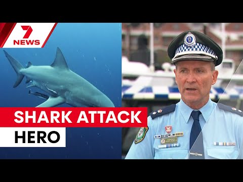 ‘That’s Mateship’: Teen Jumps Into Water to Save Friend From Shark Attack in Sydney Harbour | 7NEWS