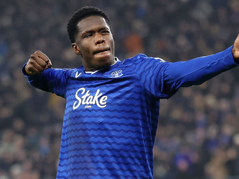 Everton's Barry strikes again to rescue draw vs. Leeds